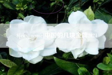 文山中国的几块金牌2021