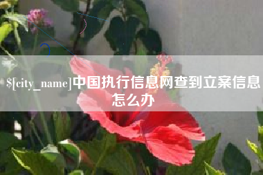 文山中国执行信息网查到立案信息怎么办