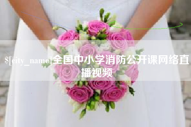 文山全国中小学消防公开课网络直播视频