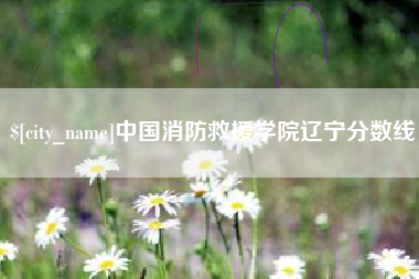 文山中国消防救援学院辽宁分数线