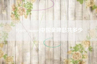 文山中国金牌总共多少