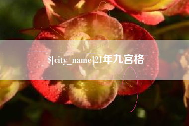 文山21年九宫格
