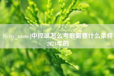 文山中控证怎么考取需要什么条件2024年的