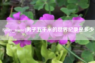 文山男子五千米的世界纪录是多少