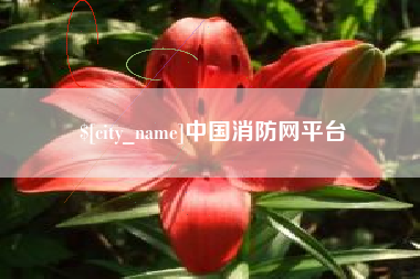 文山中国消防网平台