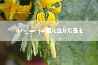 文山中国九金分别是谁