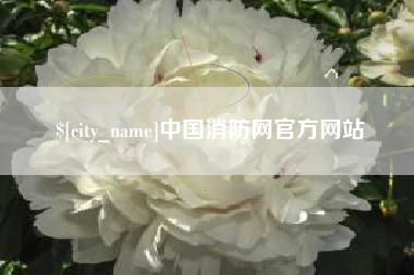 文山中国消防网官方网站