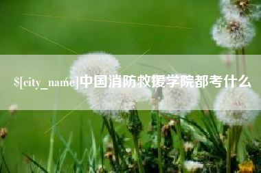 文山中国消防救援学院都考什么