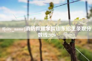 文山消防救援学院山东招生录取分数线2020