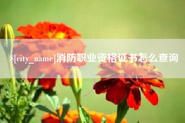 文山消防职业资格证书怎么查询