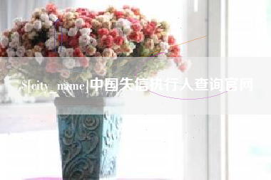 文山中国失信执行人查询官网