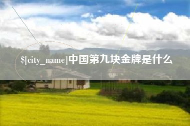 文山中国第九块金牌是什么