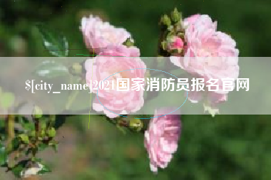 文山2021国家消防员报名官网