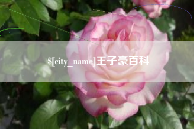 文山王子豪百科