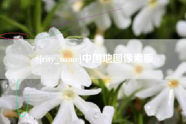 文山中国地图像素版