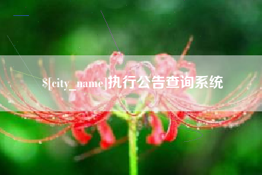 文山执行公告查询系统
