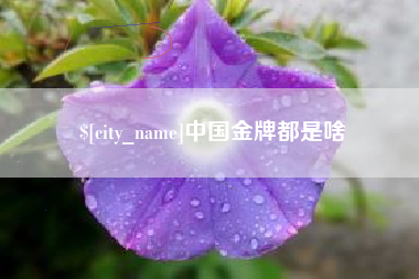 文山中国金牌都是啥