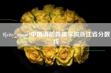 文山中国消防救援学院浙江省分数线