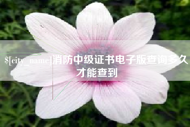 文山消防中级证书电子版查询多久才能查到