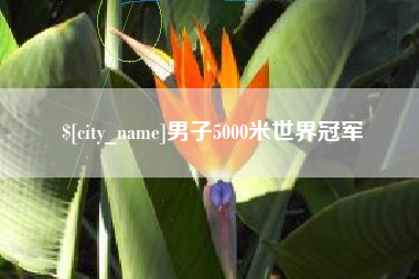 文山男子5000米世界冠军