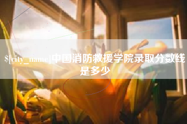 文山中国消防救援学院录取分数线是多少