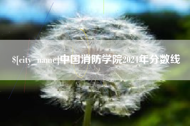 文山中国消防学院2024年分数线