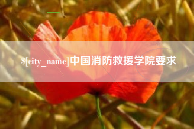 文山中国消防救援学院要求