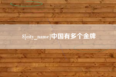 文山中国有多个金牌