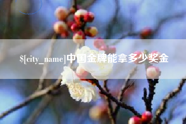 文山中国金牌能拿多少奖金