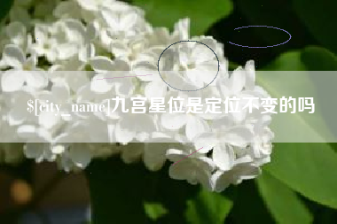 文山九宫星位是定位不变的吗