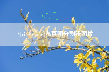 文山九宫图分割线图片