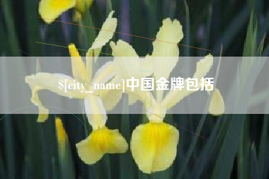 文山中国金牌包括