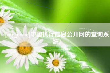 文山中国执行信息公开网的查询系统