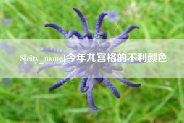 文山今年九宫格的不利颜色