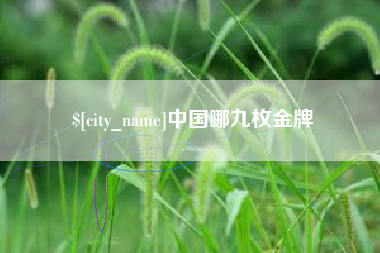 文山中国哪九枚金牌