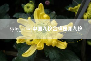 文山中国九枚金牌是哪九枚