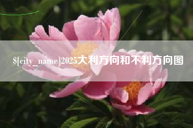 文山2025大利方向和不利方向图
