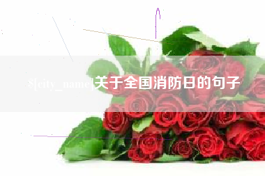 文山关于全国消防日的句子