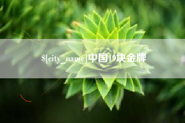 文山中国19块金牌