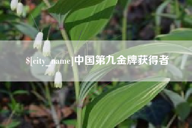 文山中国第九金牌获得者