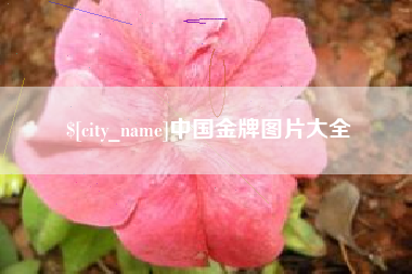 文山中国金牌图片大全