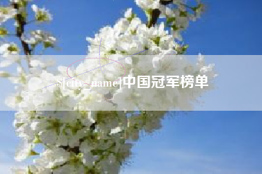文山中国冠军榜单