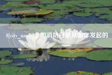 文山全国消防日是从哪年发起的