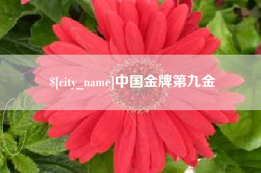 文山中国金牌第九金