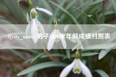 文山男子5000米年龄成绩对照表