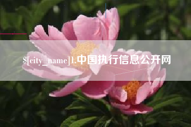 文山1.中国执行信息公开网