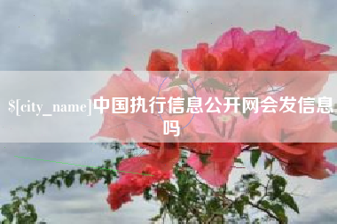 文山中国执行信息公开网会发信息吗