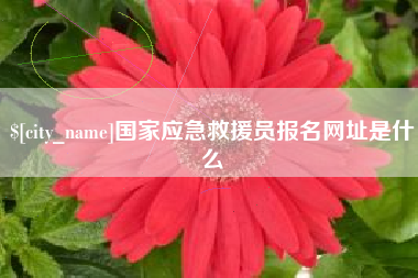 文山国家应急救援员报名网址是什么