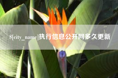 文山执行信息公开网多久更新