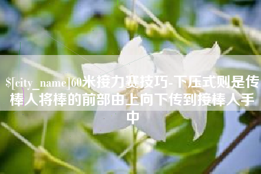 文山60米接力赛技巧-下压式则是传棒人将棒的前部由上向下传到接棒人手中